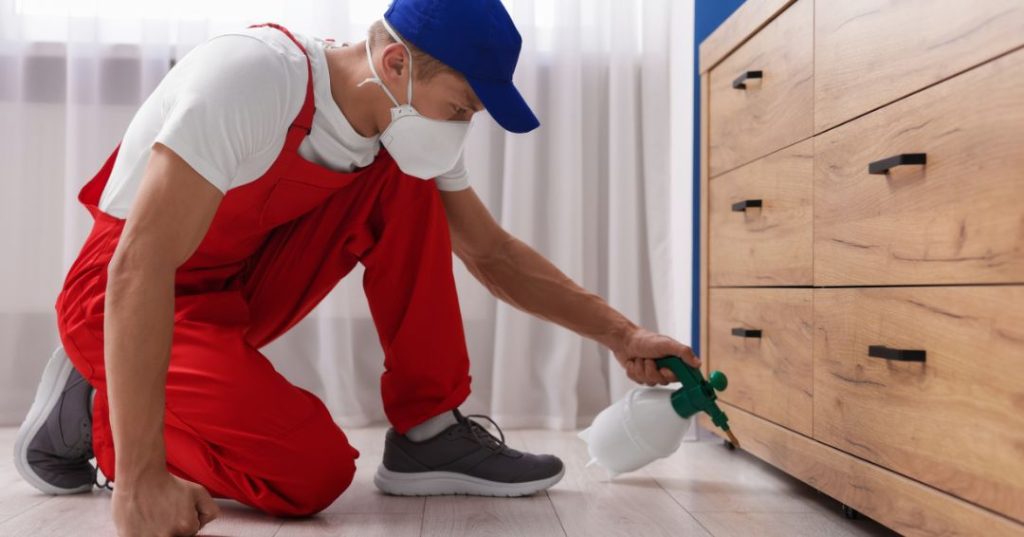 capa dedetizacao em Canoas