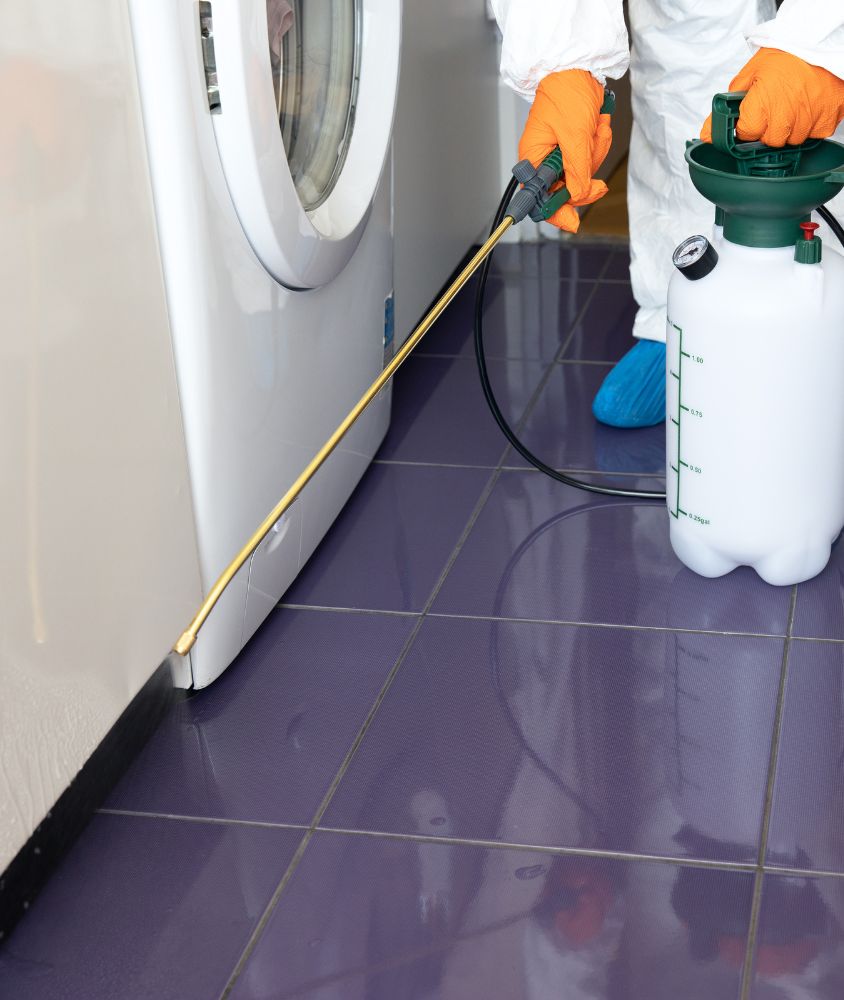 Dedetização em Canoas