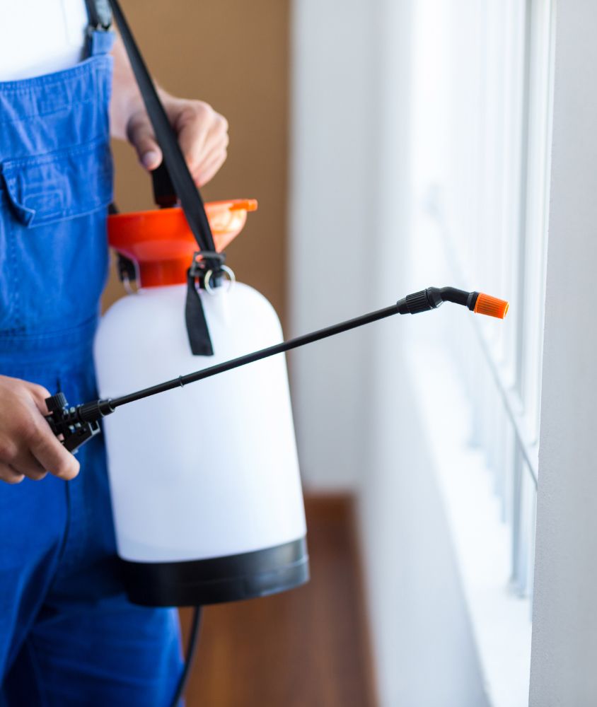 dedetizador em Canoas